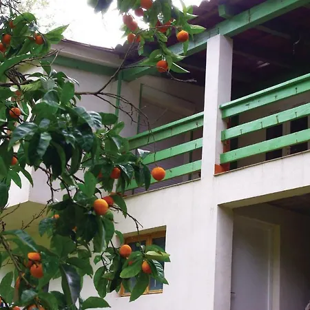 아파트 In With Kitchen